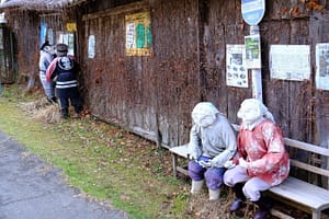 地域との関わりも大切にしていきたいですね